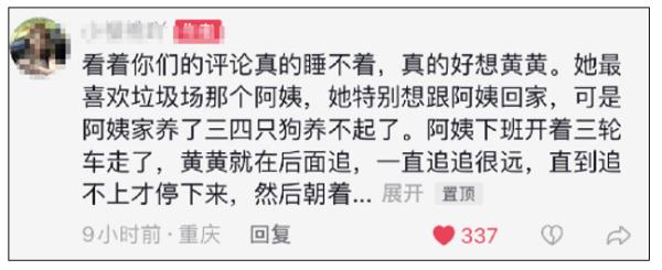 流浪狗被高校保安驱赶处置致死，引发学生愤怒和不满