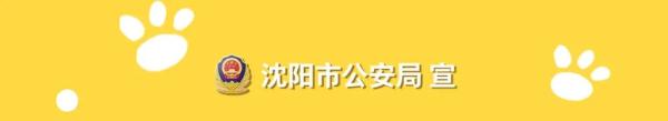 沈阳警方最新提醒：除了48种犬禁养，这8件事养犬人也不能做！