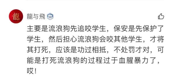 流浪狗被高校保安驱赶处置致死，引发学生愤怒和不满