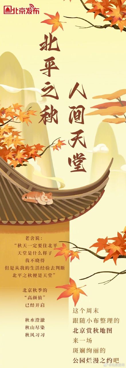 北平之秋便是天堂｜这个秋天，来一场斑斓绚丽的公园 烂漫之约！