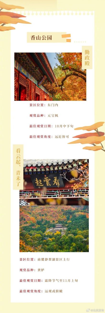 北平之秋便是天堂｜这个秋天，来一场斑斓绚丽的公园 烂漫之约！