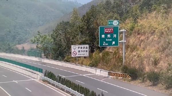 在高速公路上“散步”？这头野生亚洲象有点调皮→