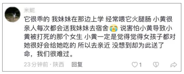 流浪狗被高校保安驱赶处置致死，引发学生愤怒和不满