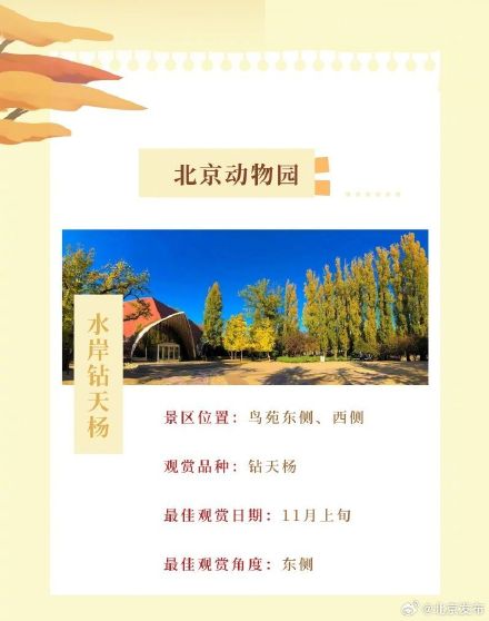 北平之秋便是天堂｜这个秋天，来一场斑斓绚丽的公园 烂漫之约！