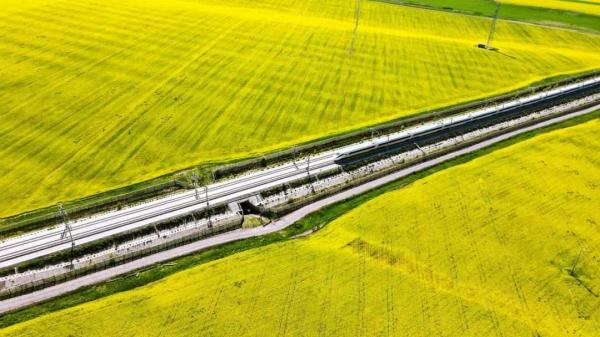 让大爷“圈粉”的列车美景,找到了! 让大爷“圈粉”的列车美景,找到了!