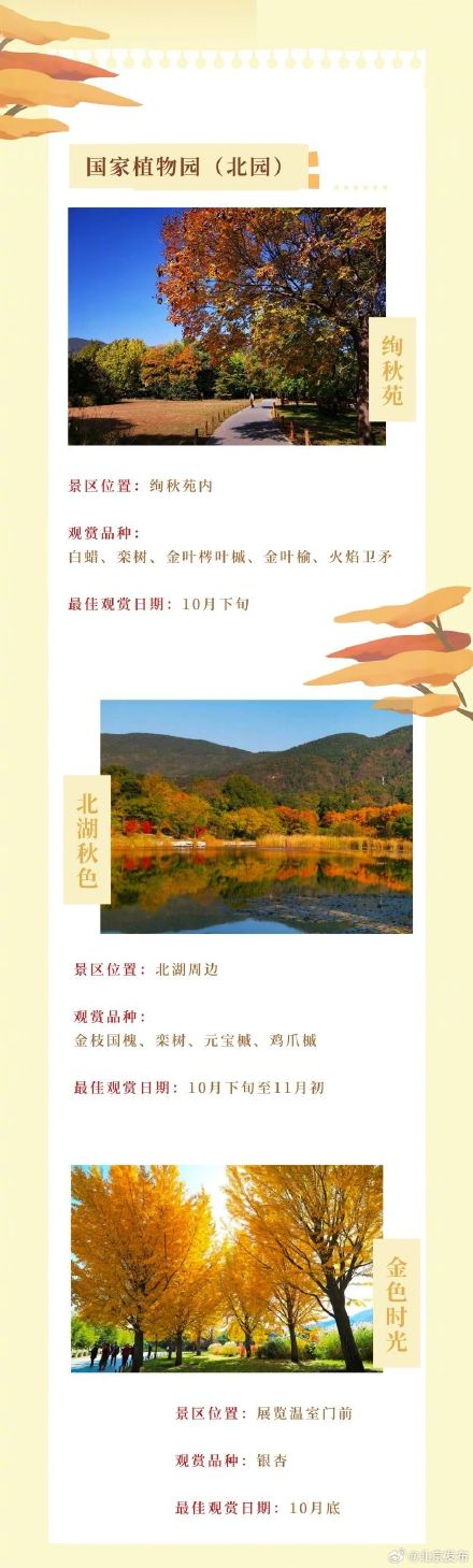 北平之秋便是天堂｜这个秋天，来一场斑斓绚丽的公园 烂漫之约！