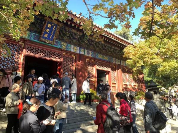 香山红叶季首个高峰,我们替你去看了看 香山红叶季首个高峰,我们替你去看了看