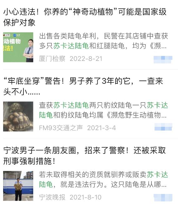 刑拘！厦门一男子在家中被抓，现场查获濒危野生动物苏卡达陆龟2只