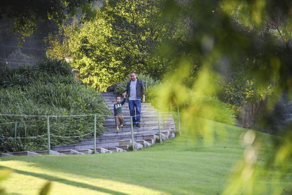 秋日暖阳 秋日暖阳