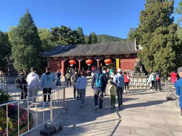 香山红叶季首个高峰,我们替你去看了看 香山红叶季首个高峰,我们替你去看了看