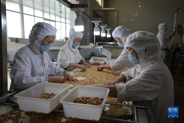 山东兰山：聚焦传统产业转型升级 推动企业提质增效