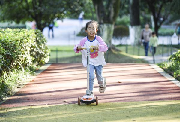 秋日暖阳 秋日暖阳