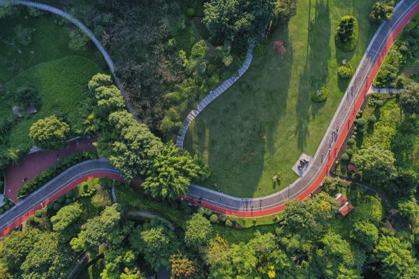 秋日暖阳 秋日暖阳