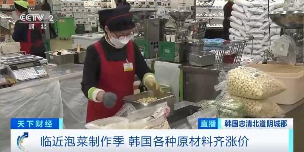 韩国白菜减产致价格上涨 泡菜进口量创4年同期新高