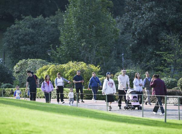 秋日暖阳 秋日暖阳