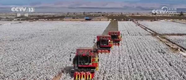 一朵棉花“链”起产业集群 一“增”一“减”棉纺业向“绿”发展