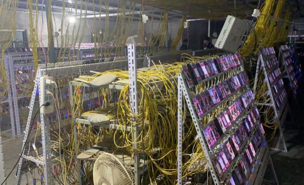 安徽警方成功打掉一犯罪团伙 安徽警方成功打掉一犯罪团伙