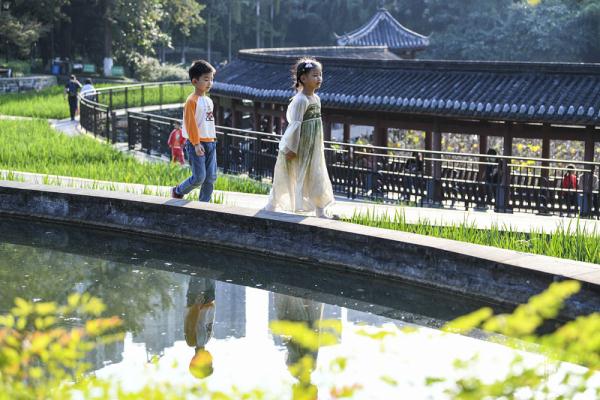 秋日暖阳 秋日暖阳