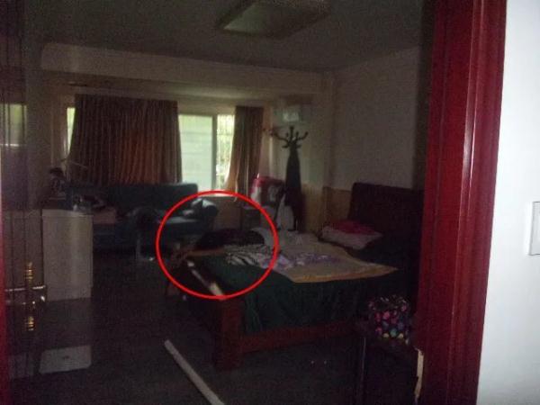 “3年了,我一直没忘记你们!”女子拿着“迟到”3年的锦旗,走进了派出所...... “3年了,我一直没忘记你们!”女子拿着“迟到”3年的锦旗,走进了派出所......