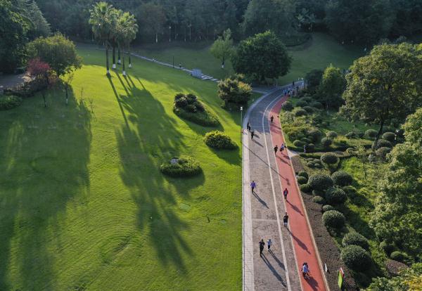 秋日暖阳 秋日暖阳