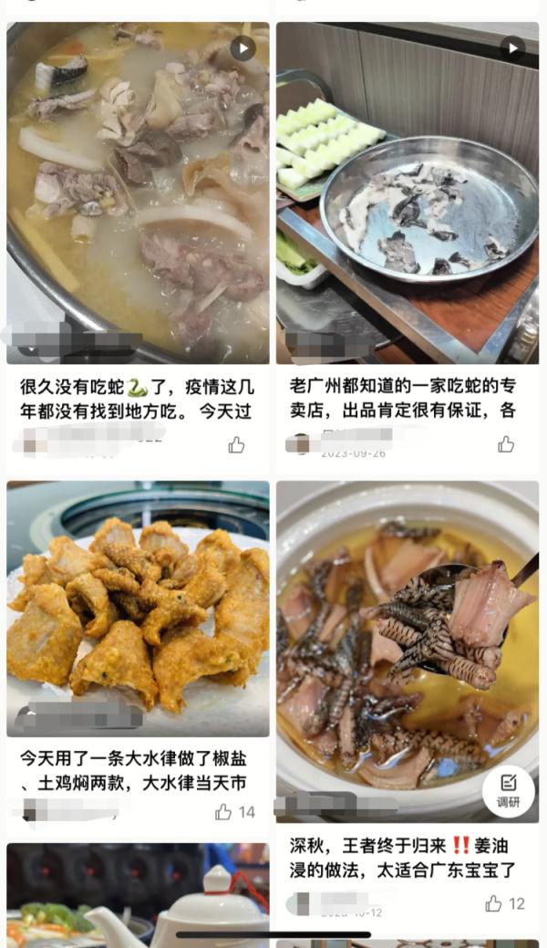 真的别吃了！官方已经辟谣