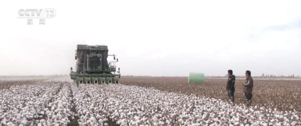 一朵棉花“链”起产业集群 一“增”一“减”棉纺业向“绿”发展