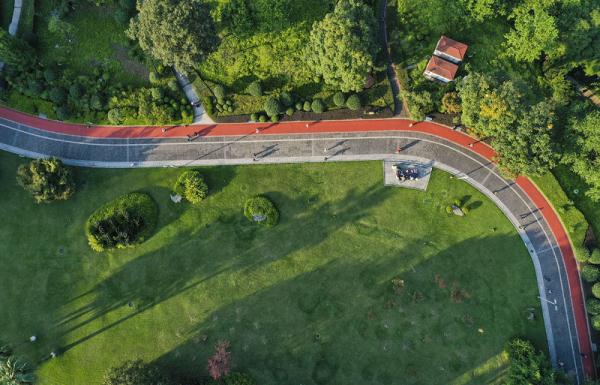 秋日暖阳 秋日暖阳