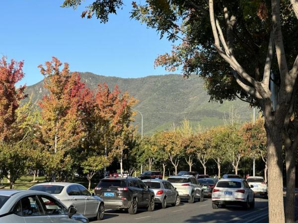 香山红叶季首个高峰,我们替你去看了看 香山红叶季首个高峰,我们替你去看了看