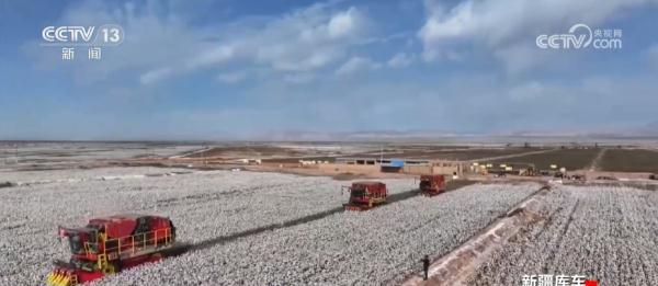 一朵棉花“链”起产业集群 一“增”一“减”棉纺业向“绿”发展