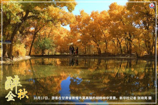 共饮菊花酒 沉醉在金秋