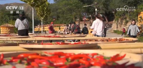 多措并举拓宽农民增收渠道 希望的田野上生机勃发 多措并举拓宽农民增收渠道 希望的田野上生机勃发