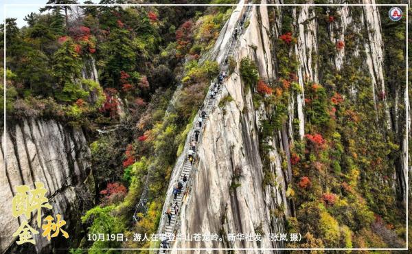 共饮菊花酒 沉醉在金秋