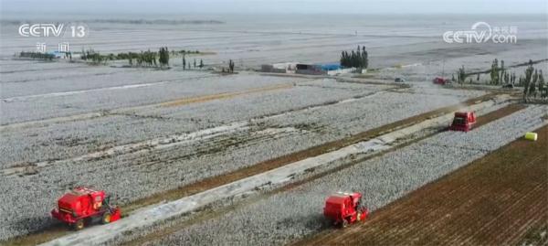 多措并举拓宽农民增收渠道 希望的田野上生机勃发 多措并举拓宽农民增收渠道 希望的田野上生机勃发
