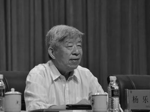 送别杨乐院士