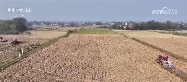 多措并举拓宽农民增收渠道 希望的田野上生机勃发 多措并举拓宽农民增收渠道 希望的田野上生机勃发