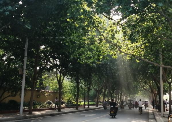 冲击30℃ ！河南“热”情高涨，夏天的感觉要回来了？！