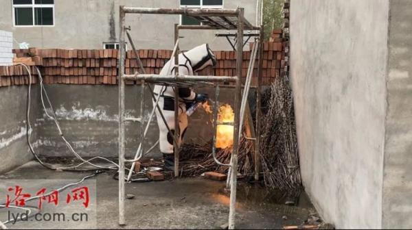 事发洛阳！46岁男子在家踩了一脚芝麻秆，一周后竟不幸身亡