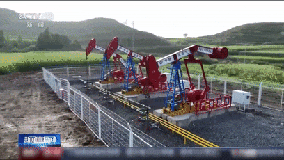 最新发现!我国首个! 最新发现!我国首个!