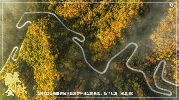 共饮菊花酒 沉醉在金秋