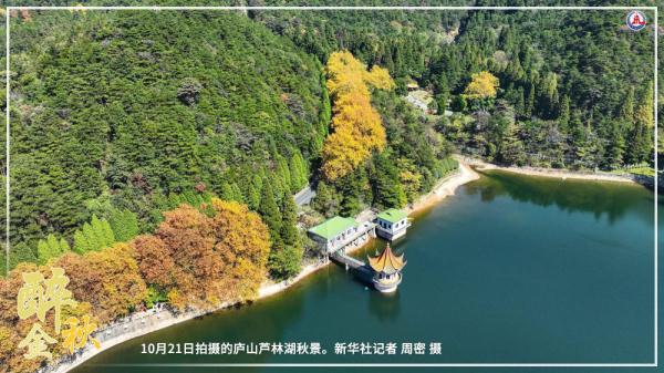 共饮菊花酒 沉醉在金秋