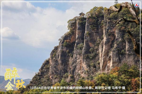 共饮菊花酒 沉醉在金秋