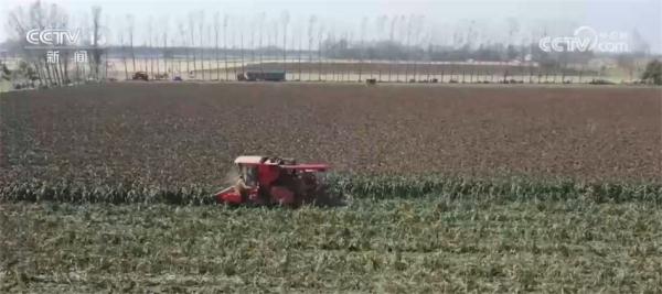 多措并举拓宽农民增收渠道 希望的田野上生机勃发 多措并举拓宽农民增收渠道 希望的田野上生机勃发