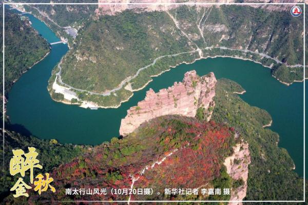 共饮菊花酒 沉醉在金秋