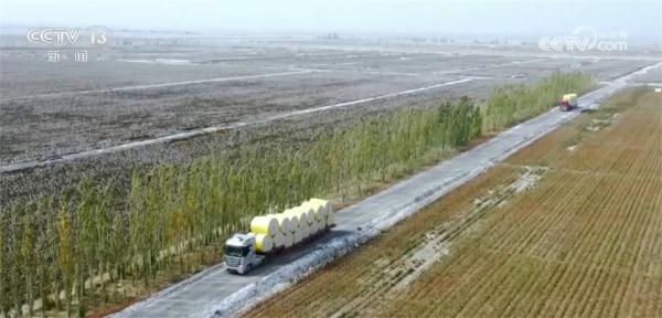 多措并举拓宽农民增收渠道 希望的田野上生机勃发 多措并举拓宽农民增收渠道 希望的田野上生机勃发