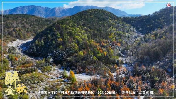 共饮菊花酒 沉醉在金秋