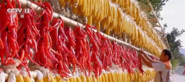 多措并举拓宽农民增收渠道 希望的田野上生机勃发 多措并举拓宽农民增收渠道 希望的田野上生机勃发