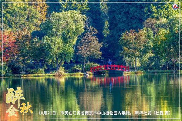 共饮菊花酒 沉醉在金秋