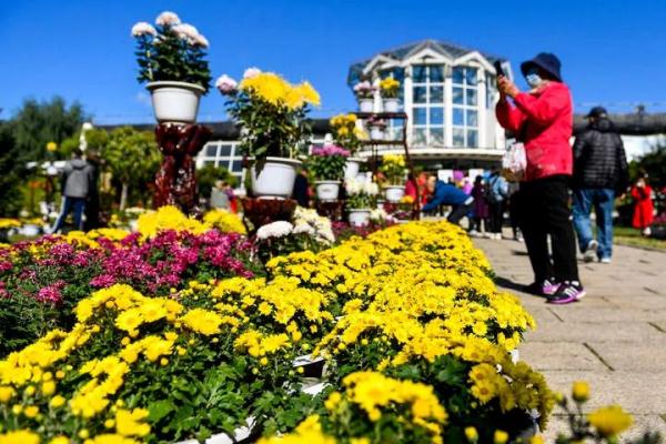 今天，为什么要吃一碗羊肉面？