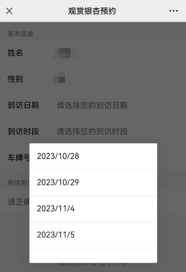 沈城银杏最佳观赏期到了！沈阳又一所大学：本周末和下周末可以预约！