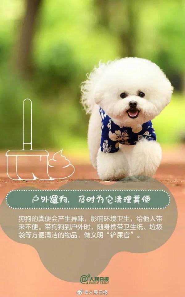 注意！这33种烈性犬，昆明禁养